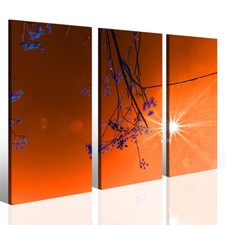 3 Modern Paintings Flowers