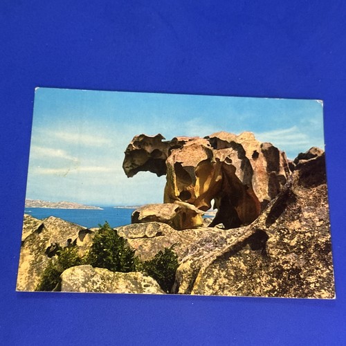 Palau capo orso spedita - palau,