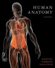 Human Anatomy Martini