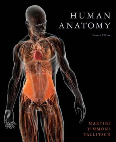 Human anatomy martini - human,