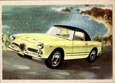 card automobilismo fida