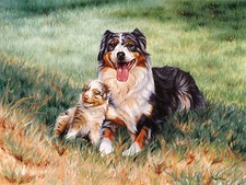 Australian shepherd dog art - australian,