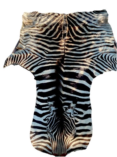 Pelle zebra vera - di,