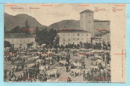 Cartolina trento trient - cartolina, di