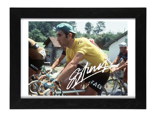 Foto autografo firmato eddy - autografo,