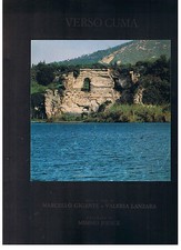 Temperature Flegree IV