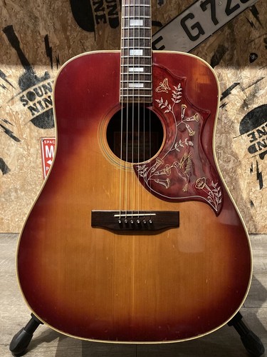 Gibson hummingbird custom - gibson,