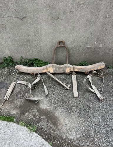 Giogo per buoi - per,