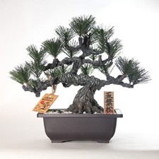 Handcrafted Japanese Art