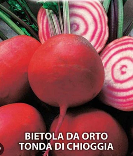 500 semi bietola orto - 500, da