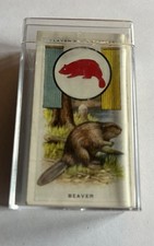 Scout Inglese Serie Completa