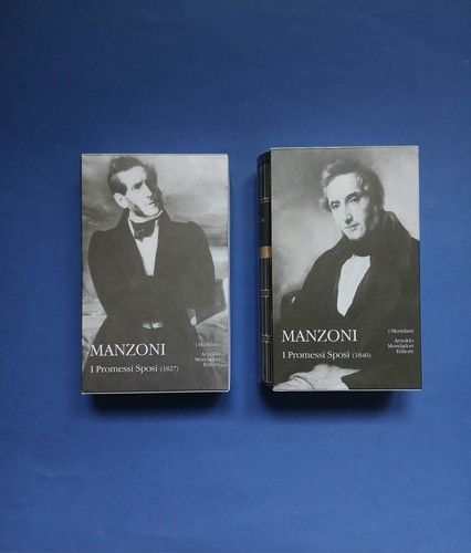 Manzoni promessi sposi - sposi,
