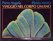 Angela VIAGGIO NEL CORPO UMANO Garzanti