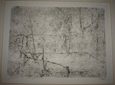 1953 Giovanni Barbisan.  Acquaforte, Vigneto. Raffinatissima prova di autore.