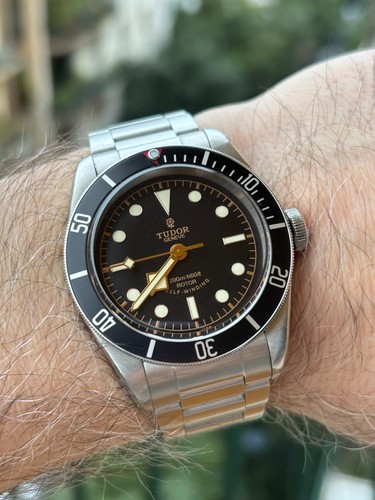 Tudor black bay - bay,