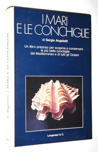 Mari conchiglie - i, e