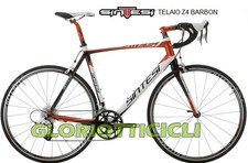 Sintesi telaio corsa - ,
