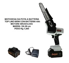 MOTOSEGA DA POTA A BATTERIA