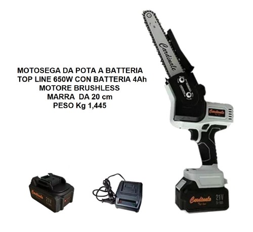 Motosega pota batteria - da,