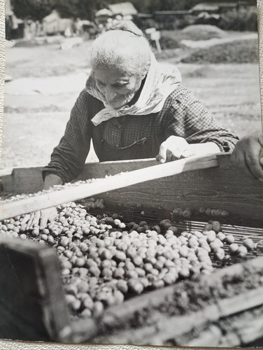 Foto vintage donna - foto, di
