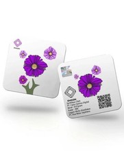 Bellissimo LINGOTTO TONDO