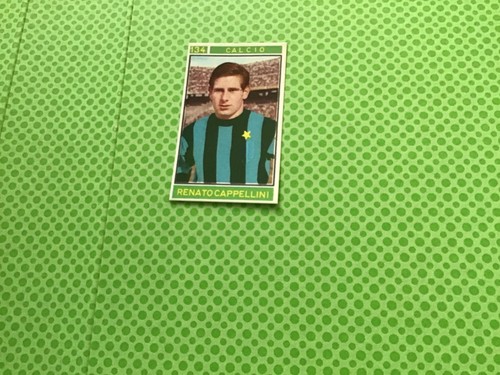 Panini campioni dello sport - panini,