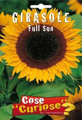 Semi seeds girasole full sun - semi/seeds,