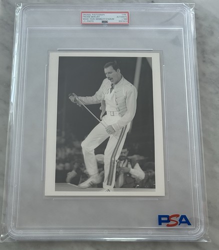 1986 freddie mercury queen - freddie,