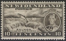 NEWFOUNDLAND 237b NSSC221cIV