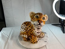 Cubetto di ghepardo occhi