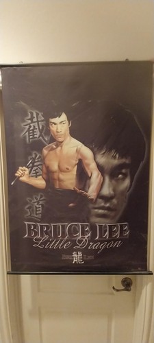 Bruce lee silk - bruce, 47l