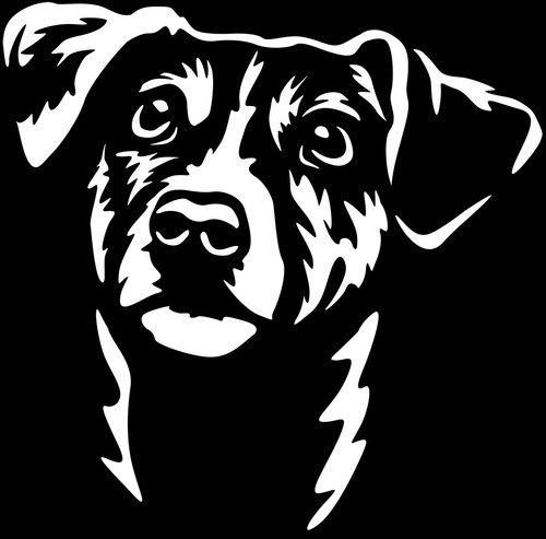 Adesivo jack russell terrier - jack,