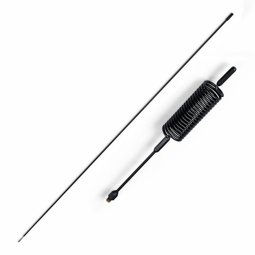 Antenna pungiglione - pungiglione,