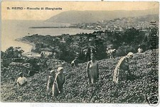 03042  CARTOLINA d'Epoca:  SAN