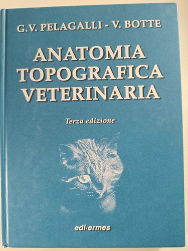 Anatomia topografica