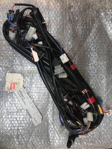 Ap8224631 cablaggio principale - ap8224631,
