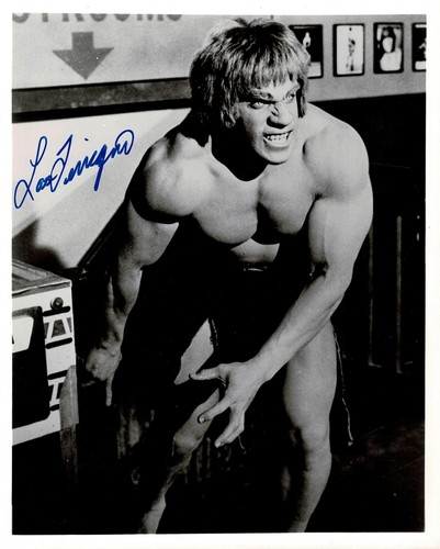 Lou ferrigno the incredible - the,