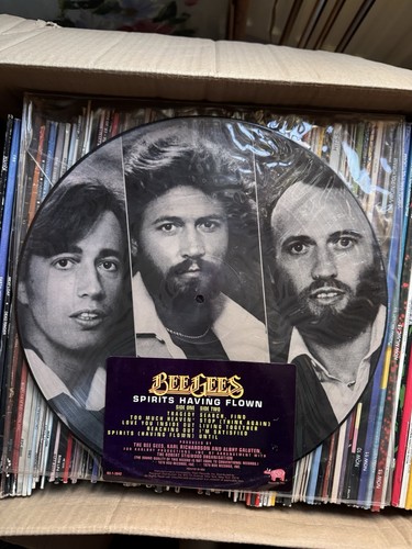 Bee gees spirits - gees,