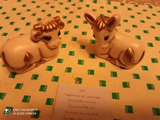 Meravigliosa coppia di Bue e