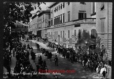 ae0156 - CARTOLINA  D'EPOCA - Arezzo Città - Giostra del Saracino  1954