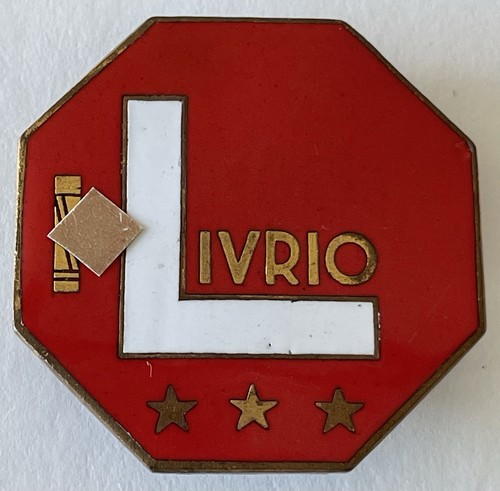 Distintivo ond scuola sci - ond,