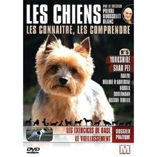 Cani conoscere figura - i, i