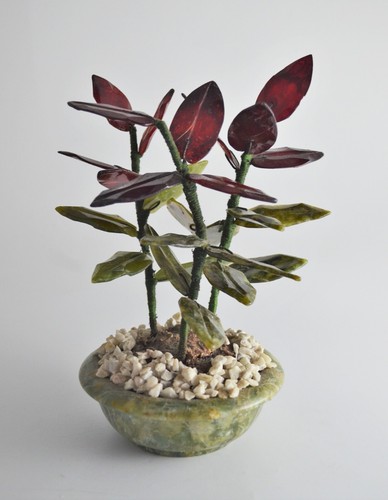 N8244 stupenda pianta vaso - ,