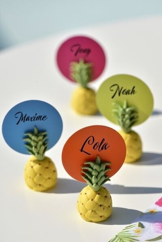 Marque place ananas santex - marque,
