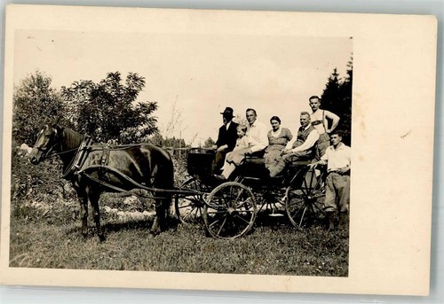 39868687 carrozza cavalli - -,