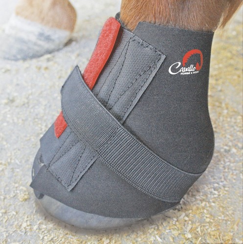 Involucri per pastori cavallo - involucri,