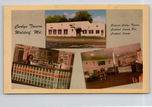 Cartolina curlys tavern - cartolina,