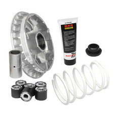 MF8621 Variatore Malossi