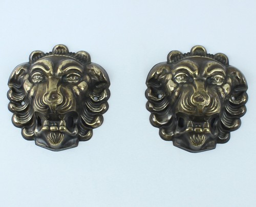 Coppia teste leone - di,