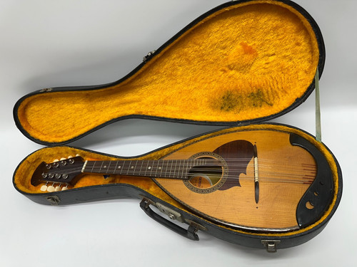 Suzuki mandolino 210 1973 - mandolino,